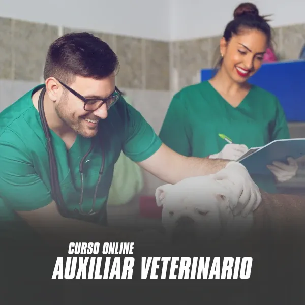 AUXILIAR VETERINÁRIO